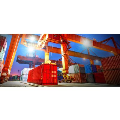 Sky Group Customs Consultancy / 