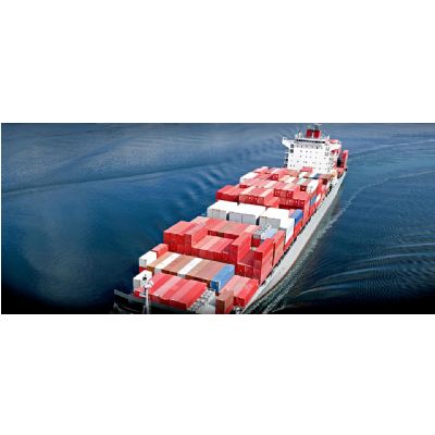 Sky Group Customs Consultancy / 